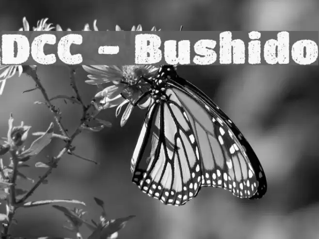 DCC - Bushido Font examples