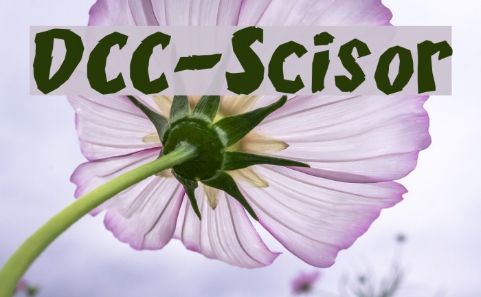 DCC-Scisor Font examples
