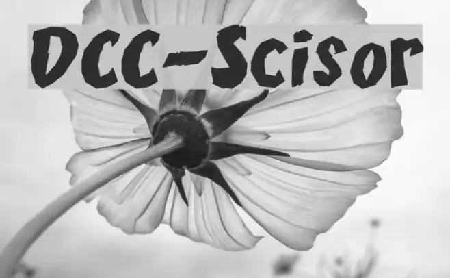 DCC-Scisor Example 1