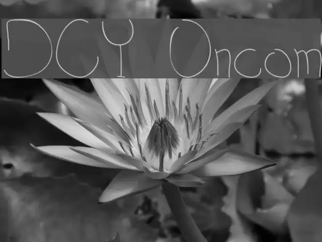 DCY Oncom Font examples