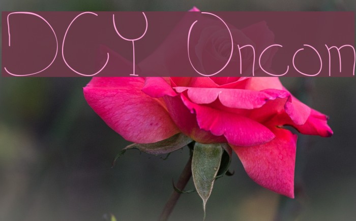 DCY Oncom Font examples