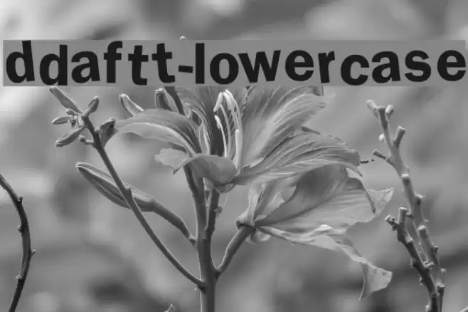 DdaftT-lowercase Font examples