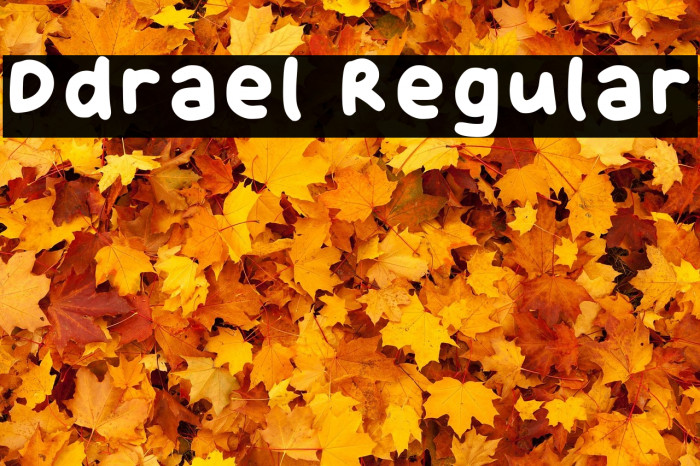 Ddrael Regular Example 2