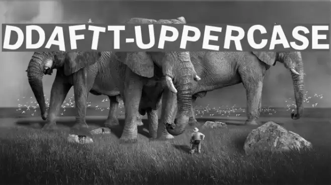 dDAFTt-UPPERcase Font examples