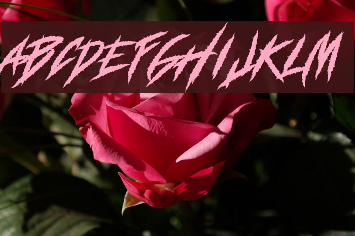 DEADLY CLAWS Font examples