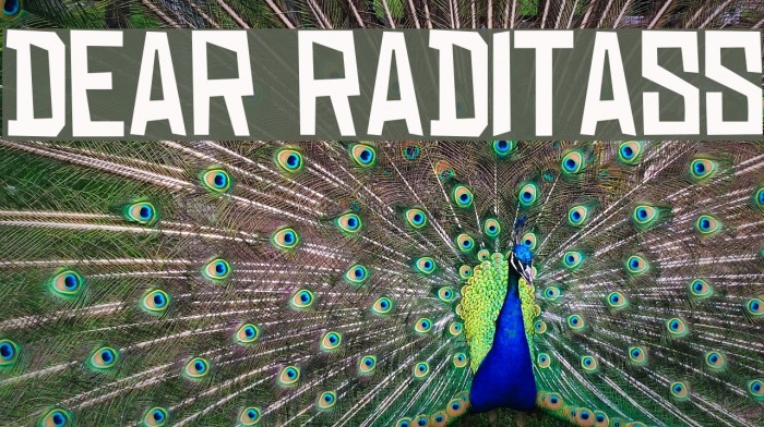 DEAR RADITASS Font examples