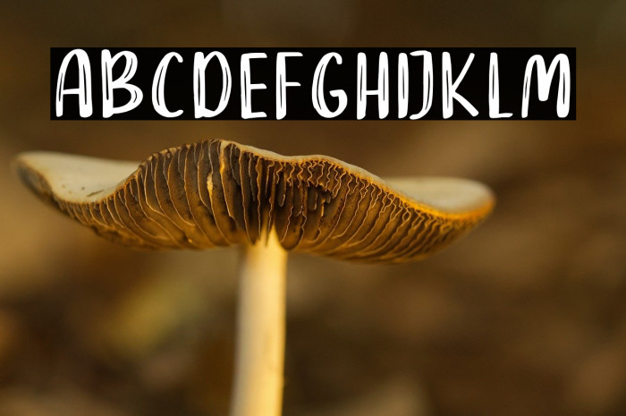 DEAR RAINA Example 3