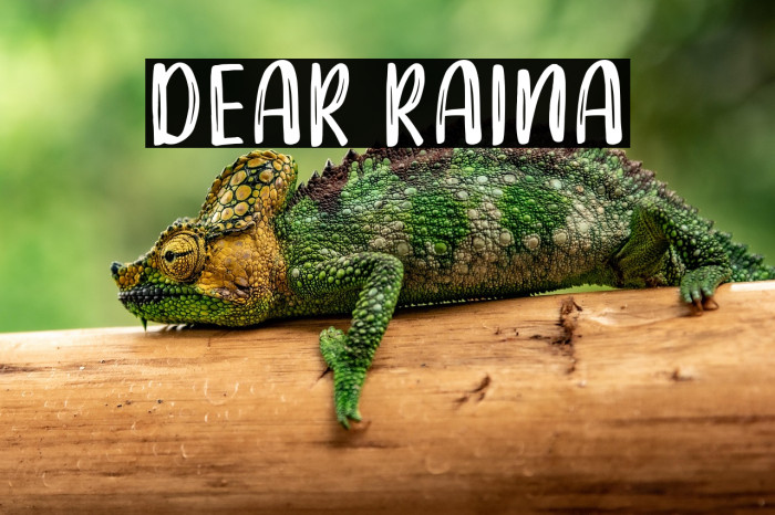 DEAR RAINA Example 1