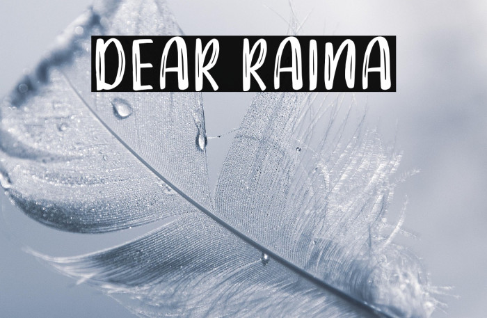 DEAR RAINA Example 3