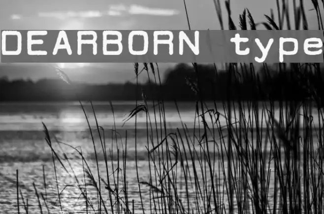 DEARBORN type Example 2