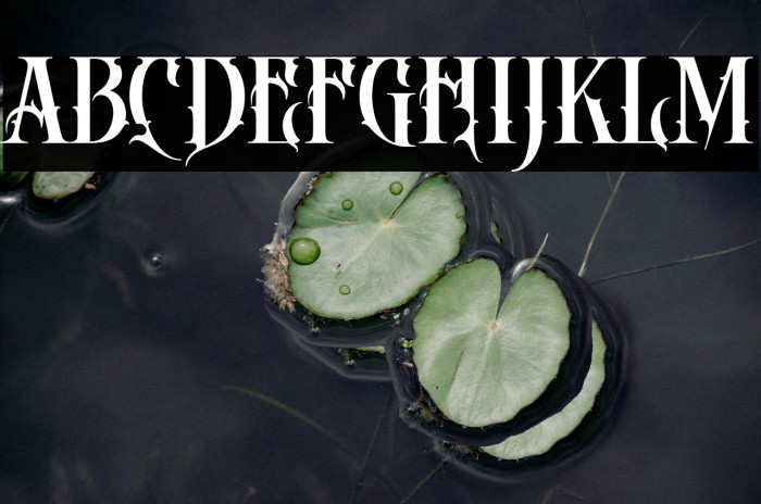 DEATH CROW Regular Example 2