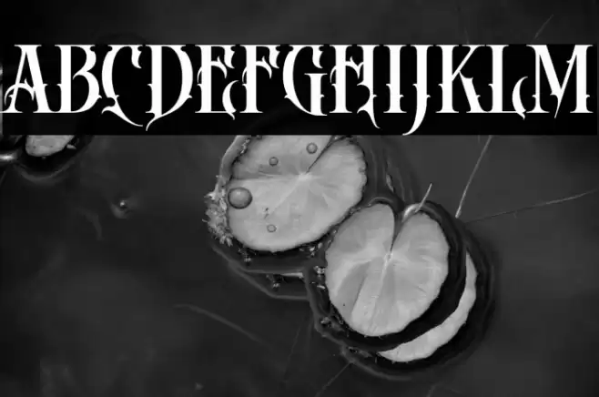 DEATH CROW Regular Font examples