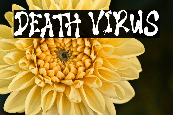 DEATH VIRUS Example 3