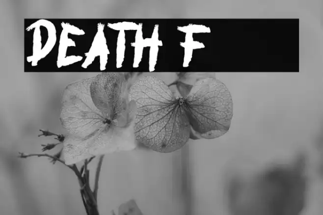 DEATH Example 3