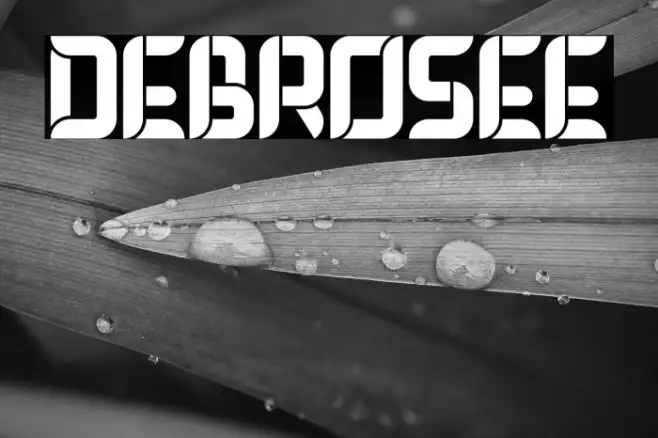 DEBROSEE Example 3