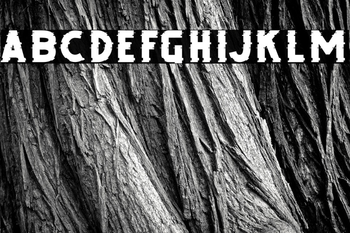 DEBUG FREE TRIAL Example 1