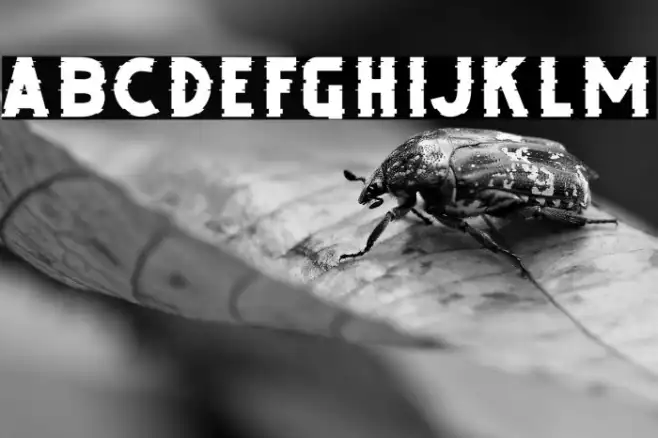 DEBUG FREE TRIAL Example 2