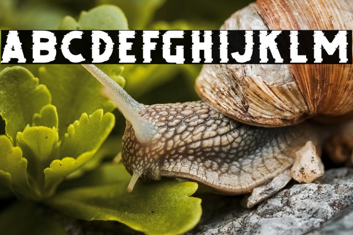 DEBUG FREE TRIAL Example 3