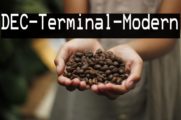 DEC-Terminal-Modern Example 2