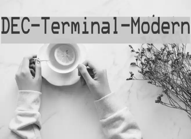 DEC-Terminal-Modern Font examples