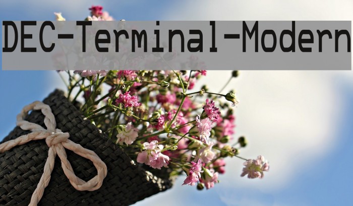 DEC-Terminal-Modern Font examples