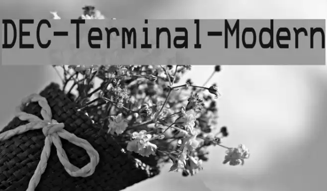 DEC-Terminal-Modern Font examples