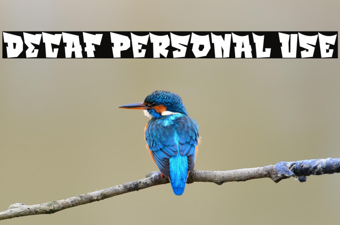 DECAF Personal Use Example 1