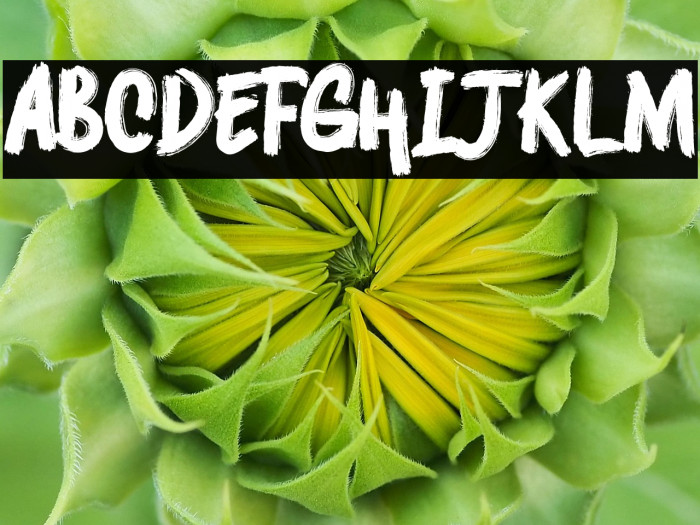 DEEPSHOCKZ   DEMO Example 2