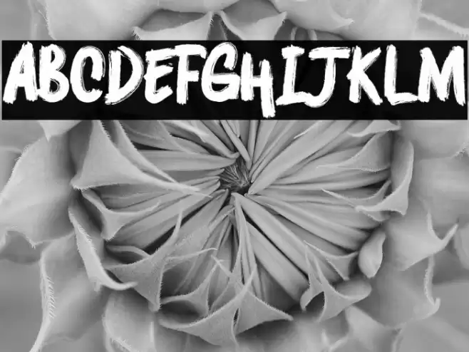 DEEPSHOCKZ   DEMO Font examples