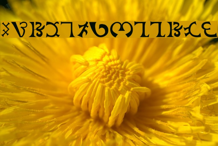 DEEnoch Font examples