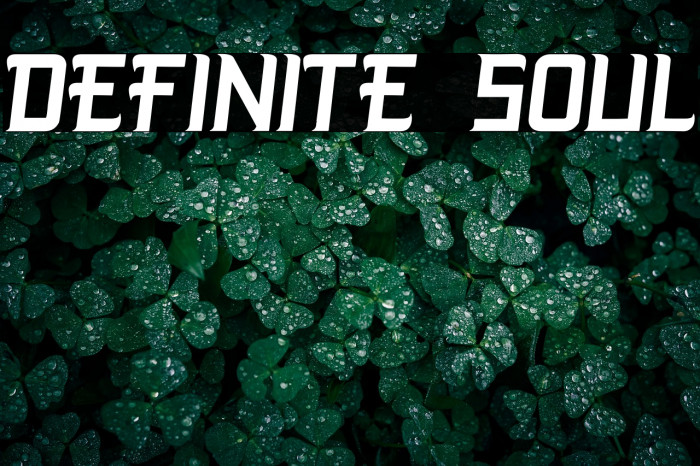 DEFINITE SOUL Example 1