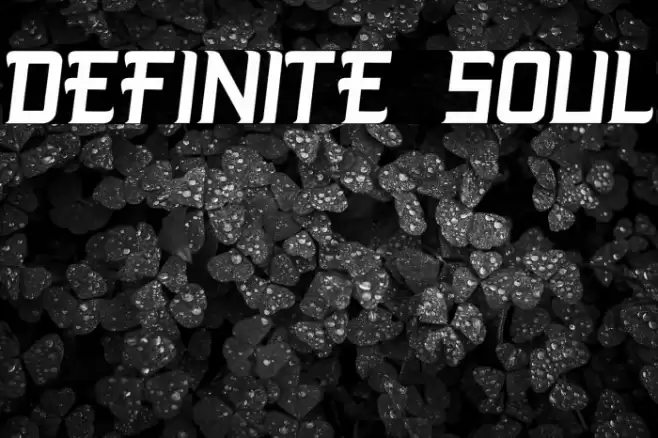 DEFINITE SOUL Font examples