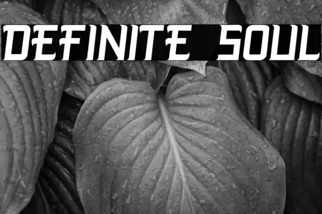 DEFINITE SOUL Font examples