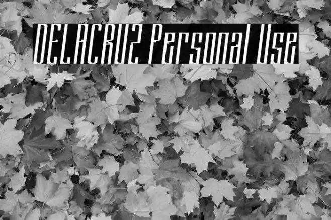 DELACRUZ Personal Use Example 1