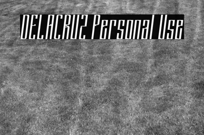 DELACRUZ Personal Use Example 2