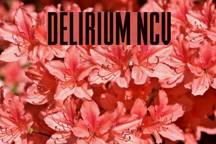 DELIRIUM NCV Font examples