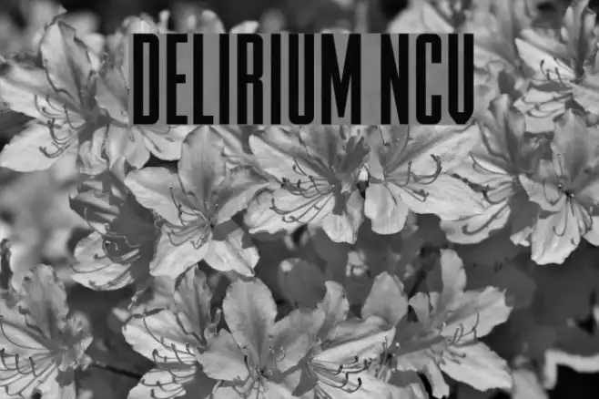 DELIRIUM NCV Example 2