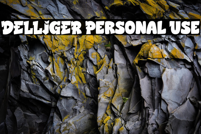 DELLIGER Personal Use Example 1