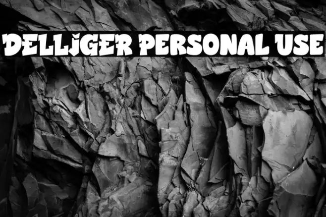 DELLIGER Personal Use Example 1