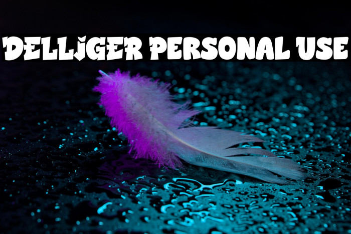 DELLIGER Personal Use Example 3