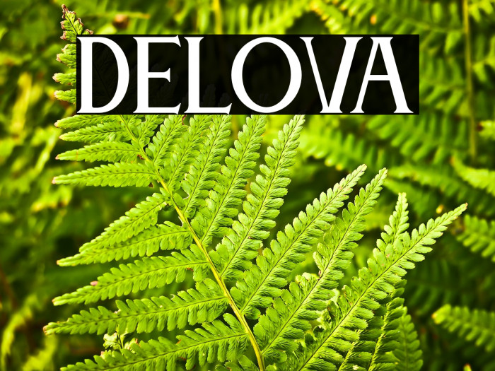 DELOVA Example 2