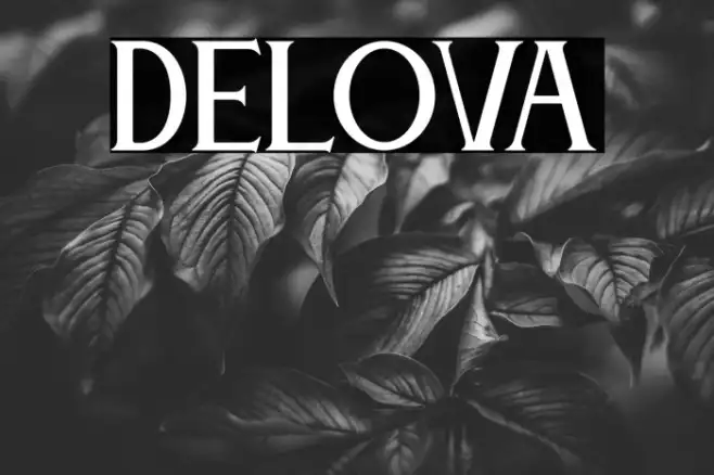DELOVA Example 3