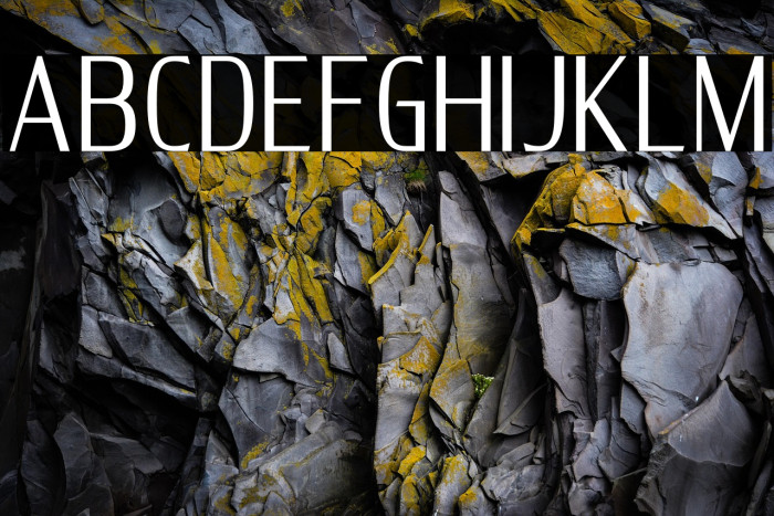 DELUXES BOLD Example 1