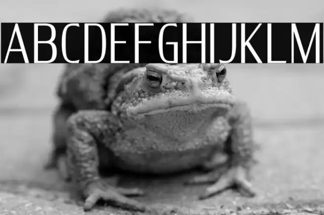 DELUXES BOLD Font examples