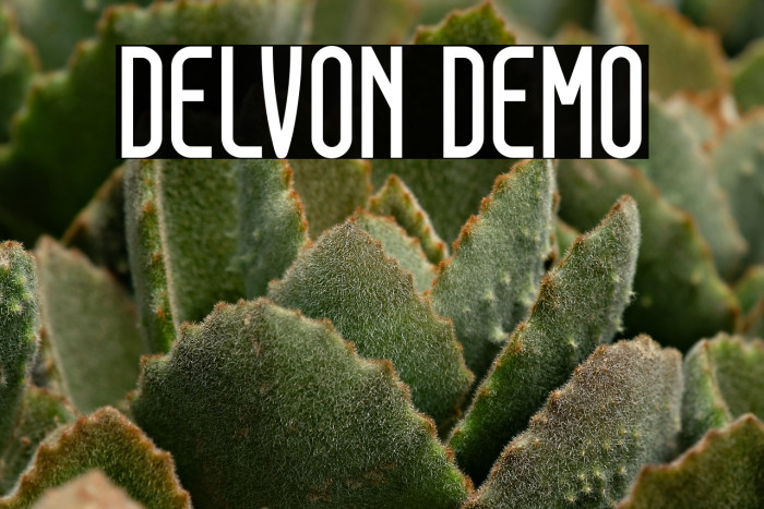 DELVON DEMO Example 1