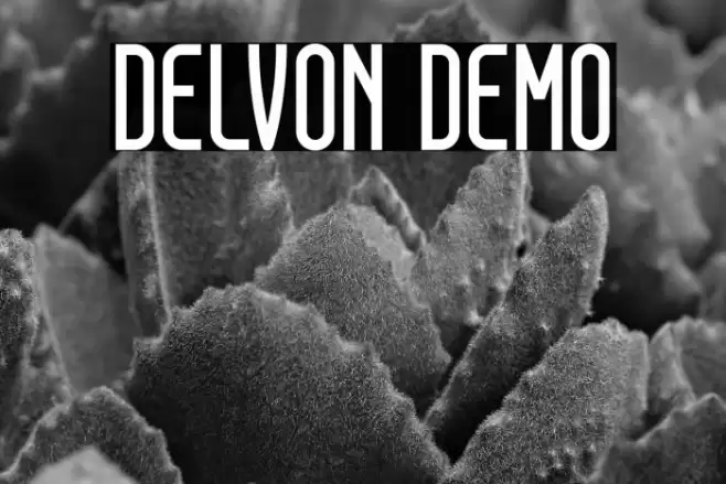 DELVON DEMO Font examples
