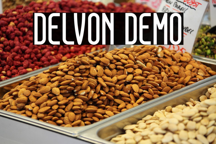 DELVON DEMO Example 2