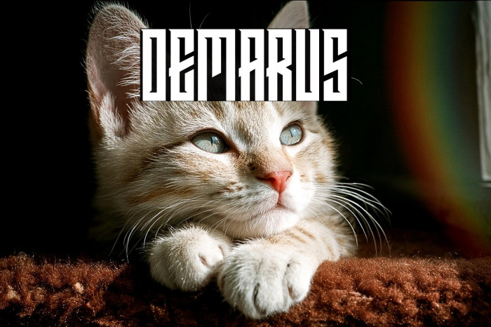 DEMARUS Example 2
