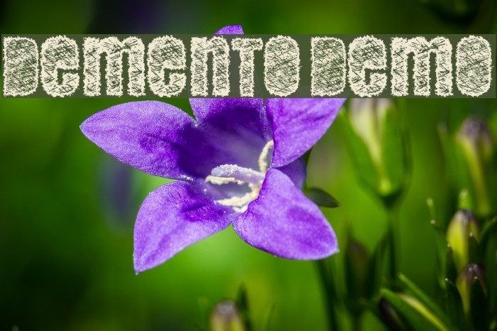 DEMENTO DEMO Font examples