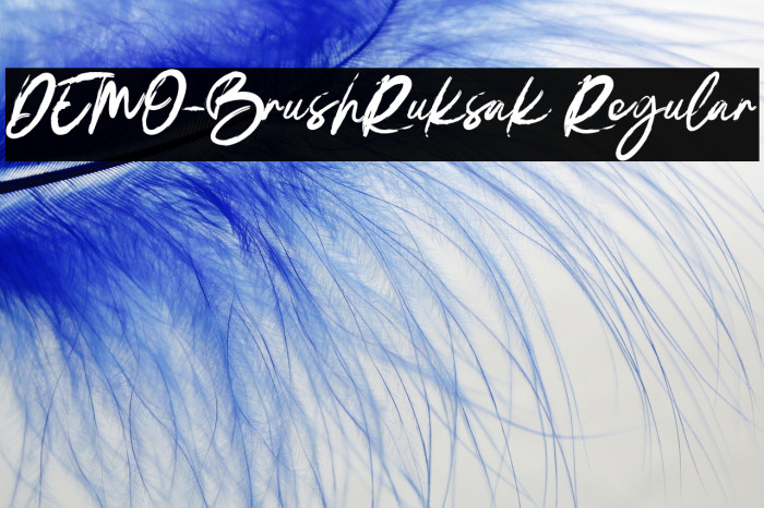 DEMO-BrushRuksak Regular Example 2